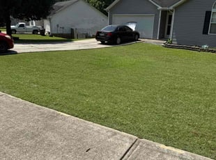 Warren K.'s turf care service result