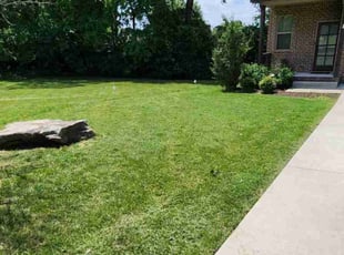 Samara M.'s lawn service service result