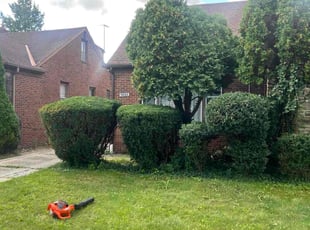 Lynn B.'s Bush Trimming service result