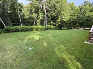 Keith S.'s lawn care service result