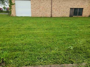 Robert W.'s lawn maintenance service result