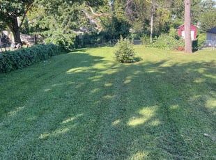Dawn F.'s lawn maintenance service result