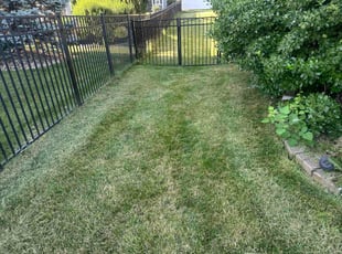 Jake H.'s lawn maintenance service result
