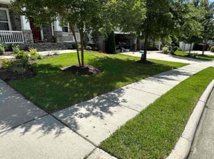Jeremy J.'s lawn maintenance service result