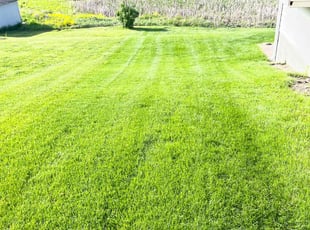 John L.'s grass maintenance service result