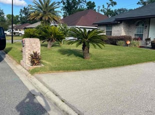 Velma L.'s grass maintenance service result