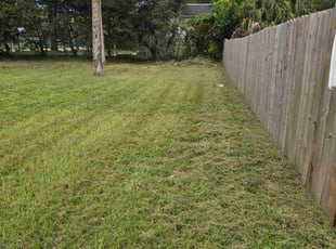 Karen A.'s grass cutting service result