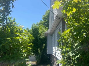 Marcellus P.'s Bush Trimming service result