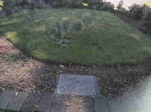 Lurline F.'s grass maintenance service result