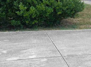 Doug L.'s lawn service service result