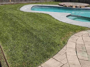 Ben R.'s lawn maintenance service result