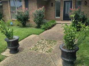 Patricia A..'s Bush Trimming service result