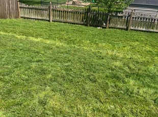Ashley C.'s lawn care services service result