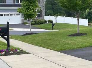 Vanessa P.'s turf maintenance service result