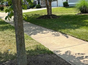 Dwight B.'s lawn care services service result