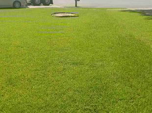 Jared Y.'s grass maintenance service result