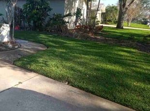 Alex S.'s lawn care service result