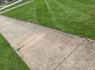 Salome D.'s lawn maintenance service result