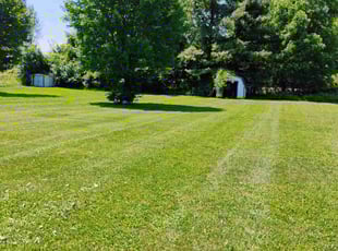Bob R.'s grass maintenance service result