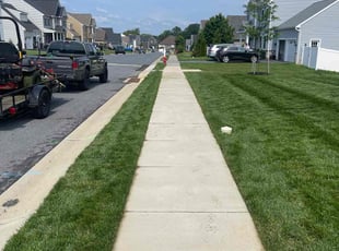 Mathew M.'s lawn care services service result