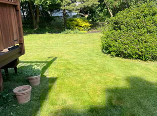JAMES V.'s grass cutting service result