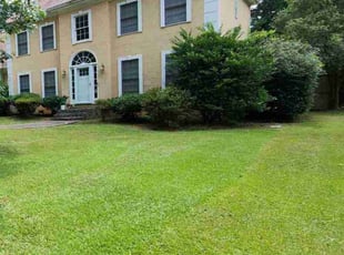 Shane S.'s lawn care services service result