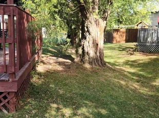 Kyra C.'s lawn care service result