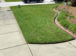 Samar K.'s lawn care service result