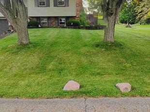 Rachael P.'s lawn care services service result