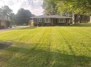 Rebecca R.'s lawn care service result