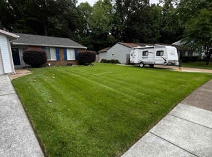 Scarlett R.'s lawn service service result
