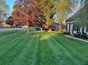 Evelyn R.'s lawn maintenance service result