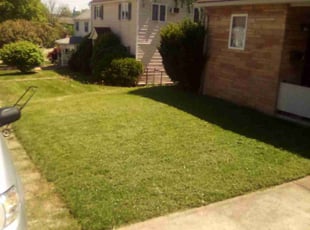 David B.'s lawn care services service result