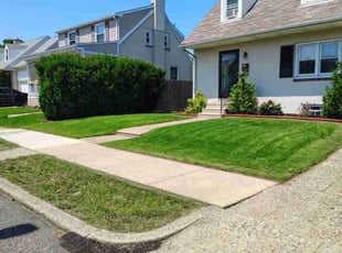 John S.'s lawn care service result