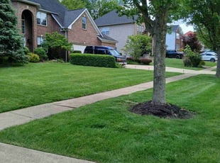 Ginger R.'s lawn care services service result