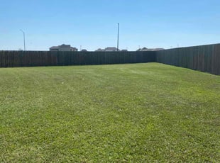 Debbie C.'s lawn service service result