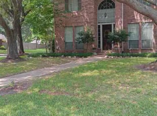 Louis C.'s Leaf Removal service result