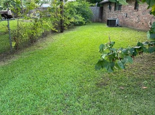 Erin H.'s lawn maintenance service result