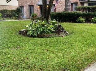 Randy W.'s turf maintenance service result