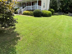 Joy P.'s Bush Trimming service result