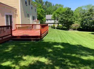 Reginald K.'s turf care service result
