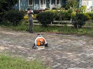 Randolph C.'s Bush Trimming service result