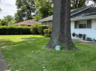 Joe J.'s lawn care service result