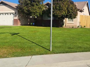 Iyanu D.'s turf maintenance service result