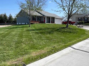 Shanta J.'s lawn service service result