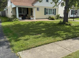 Nadine T.'s turf maintenance service result