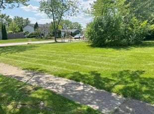 Kinine K.'s lawn service service result
