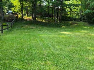 Melinda F.'s lawn care service result