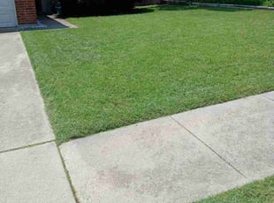 Austin M.'s lawn care service result