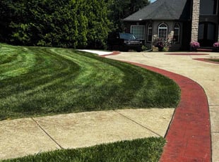 Melissa M.'s lawn service service result